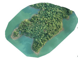 Dự án DORA: open Drone data platfOrm for biodiveRsity mApping